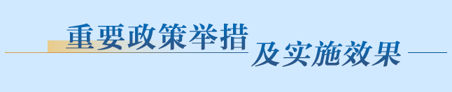 重要政策舉措及實(shí)施效果